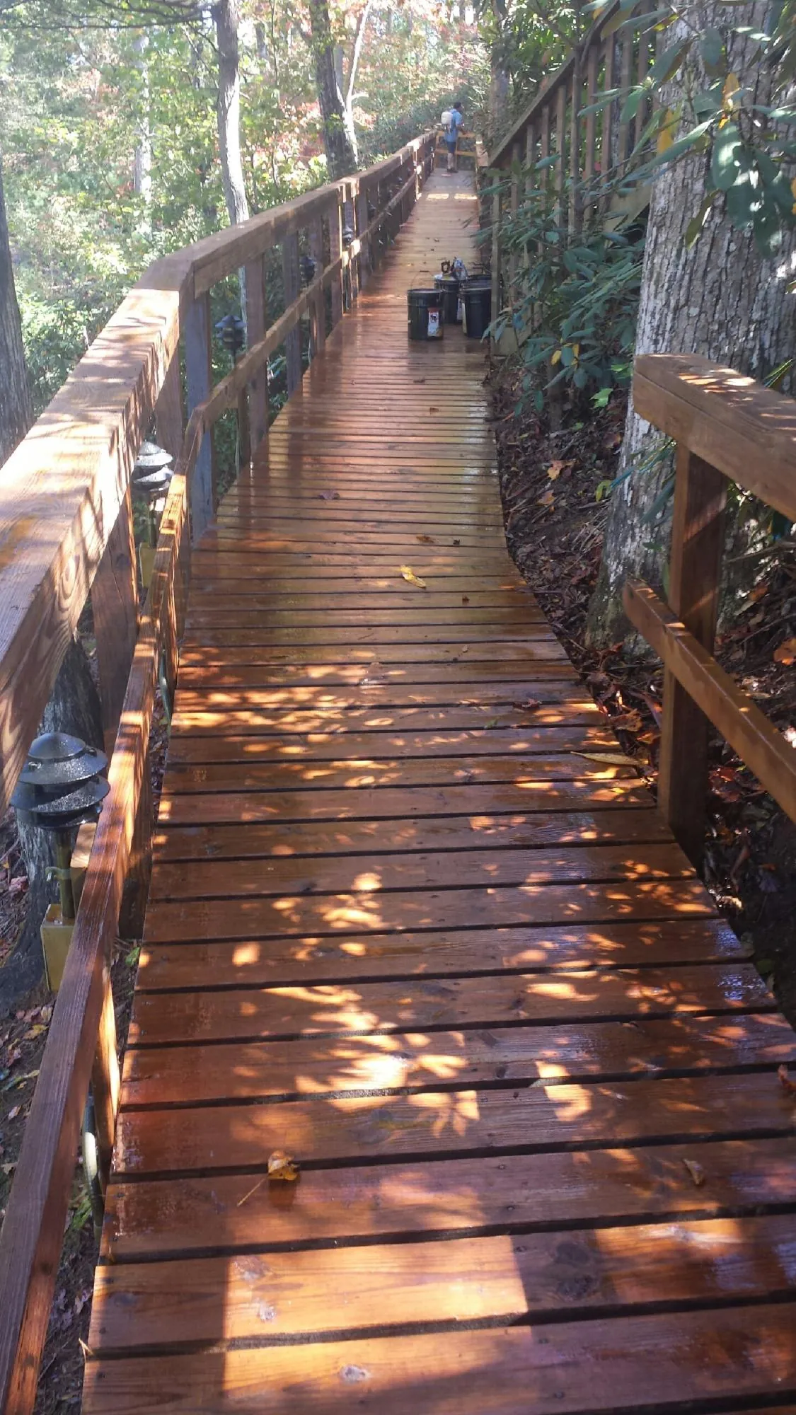 Freshly stained wood walkway winding through the woods in Gilmer