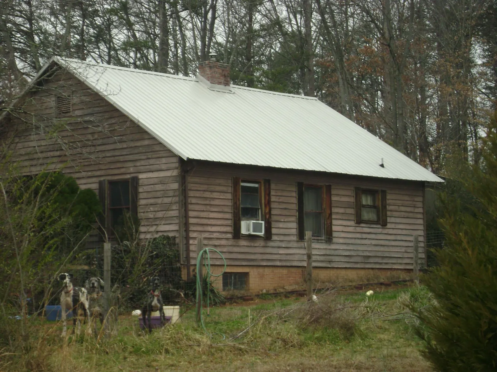 White metal roof on an old wood sided farmhouse, from a Asphalt Shingle Roof Repair job in Gilmer